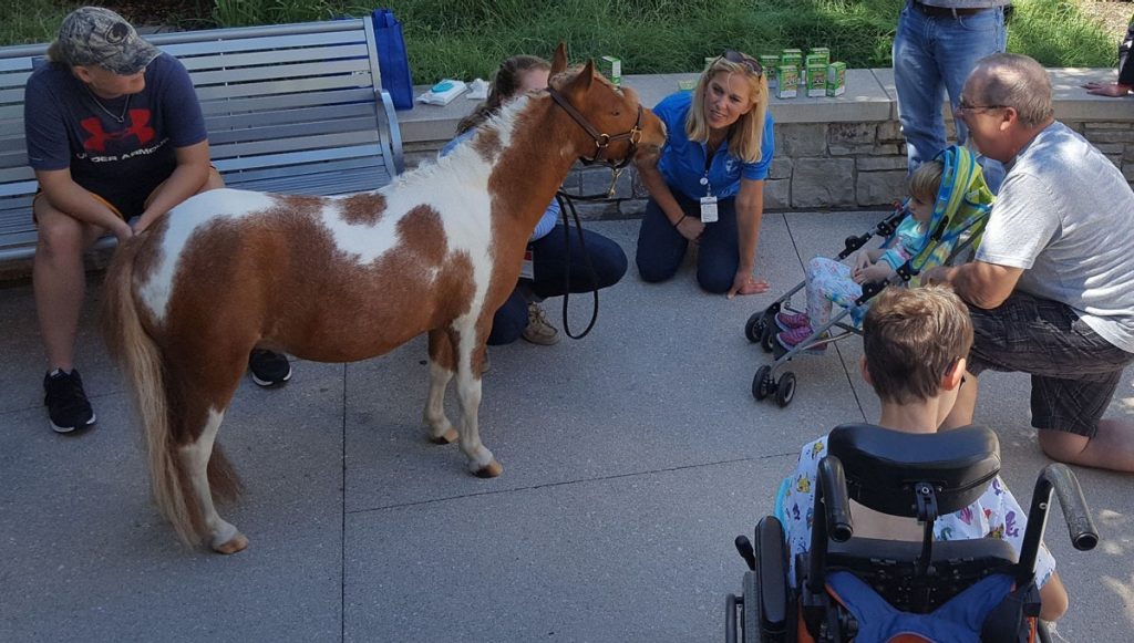 AppleJack, a miniature therapy horse, visiting Mercy Kids on the plaza.