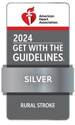GWTG_RURAL-STROKE_2024_Silver_4C