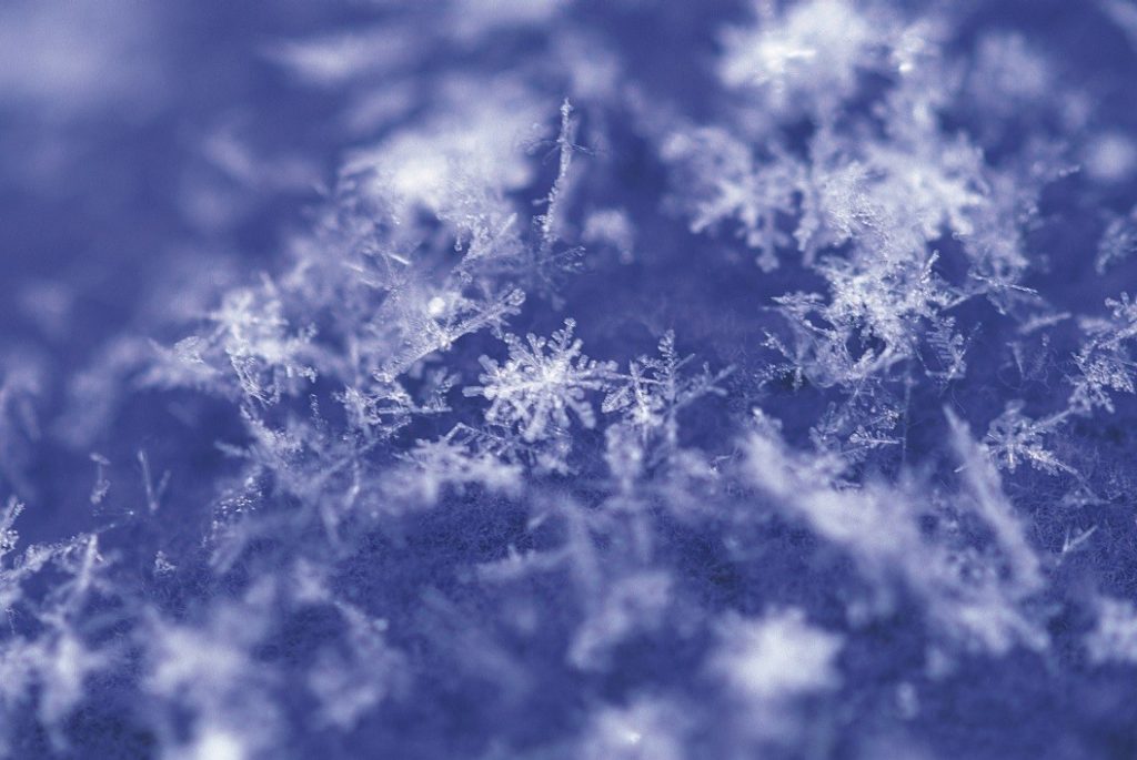 SnowyIce