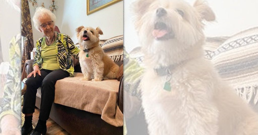 cuppie-mercy-hospice-pet-peace-of-mind