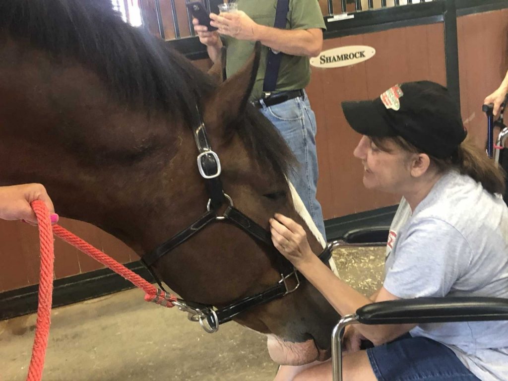 Rosie Alty pets one of the Clydesdales at Warm Springs Ranch.