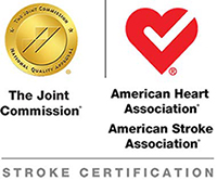 dsc-aha-stroke-logo-2017