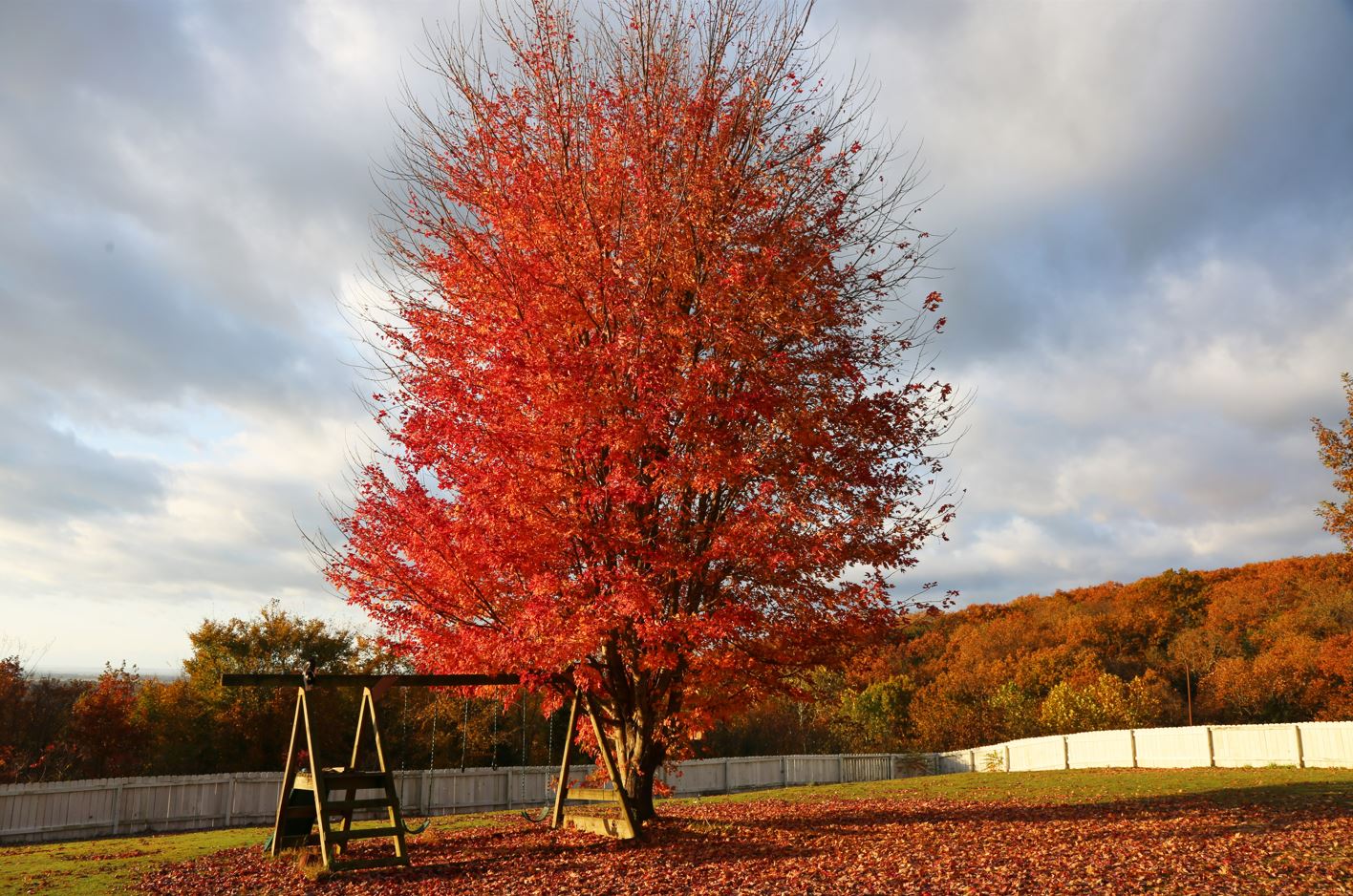 How to Treat and Manage Fall Allergies Mercy